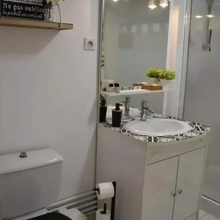 Joli Proche Du Centre-ville