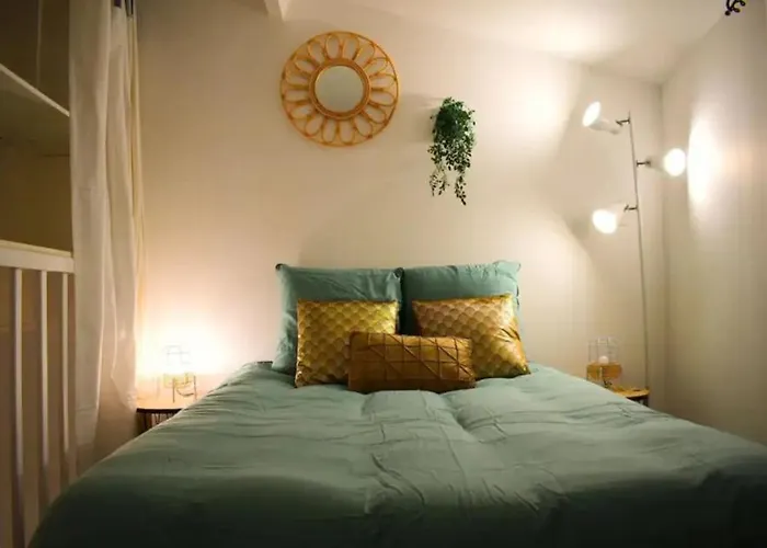 Apartment Joli Proche Du Centre-ville Poitiers